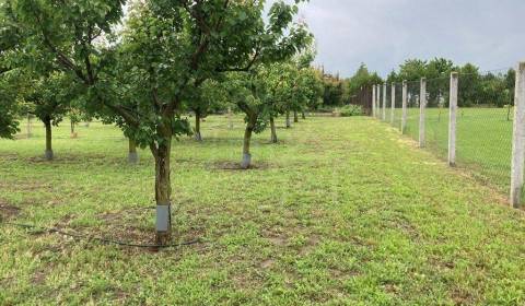 Prodej Pozemky - bydlení, Pozemky - bydlení, Nové Zámky, Slovensko