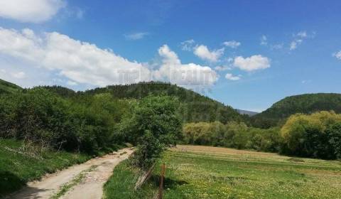 Prodej Zemědělské a lesní, Zemědělské a lesní, Banská Bystrica, Sloven