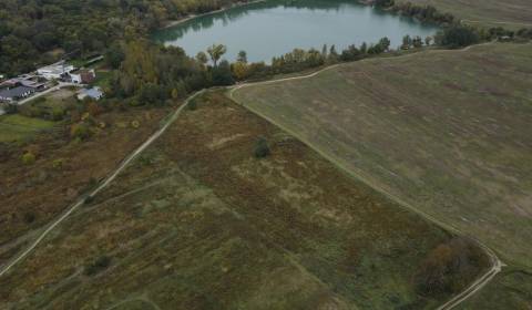 Prodej Zemědělské a lesní, Zemědělské a lesní, Hviezdoslavova, Senec, 