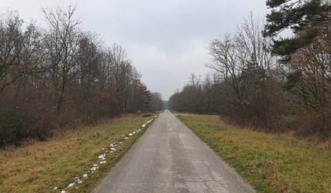 Prodej Zemědělské a lesní, Zemědělské a lesní, Pezinok, Slovensko