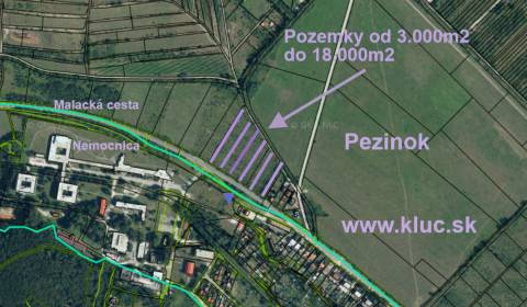 Prodej Zemědělské a lesní, Zemědělské a lesní, Malacká cesta, Pezinok,