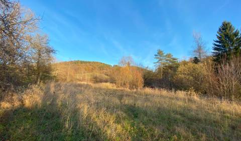 Prodej Pozemky - bydlení, Pozemky - bydlení, Dohňany, Púchov, Slovensk