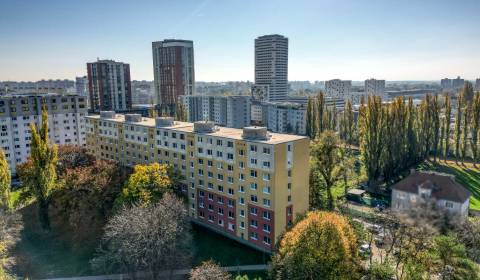 Prodej Dvougarsoniéra 2+0, Dvougarsoniéra 2+0, Vranovská, Bratislava -