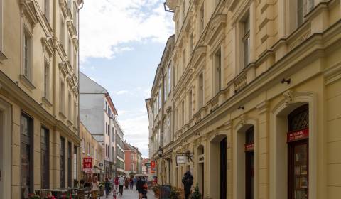 Prodej Restaurace, Restaurace, Laurinská, Bratislava - Staré Mesto, Sl