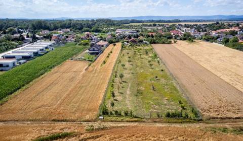 Prodej Pozemky - bydlení, Pozemky - bydlení, Senecká, Senec, Slovensko