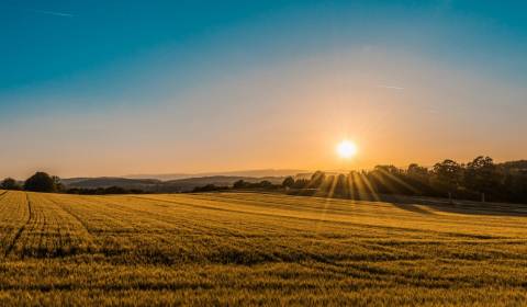 Prodej Pozemky - rekreace, Pozemky - rekreace, Stará Ľubovňa, Slovensk