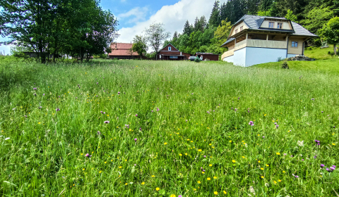 Prodej Pozemky - rekreace, Pozemky - rekreace, Čadca, Slovensko