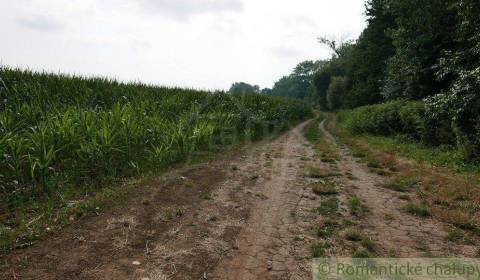 Prodej Zemědělské a lesní, Zemědělské a lesní, Pezinok, Slovensko