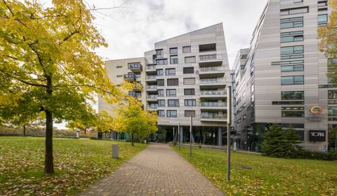 Pronájem Garáže, Garáže, Dvořákovo nábrežie, Bratislava - Staré Mesto,