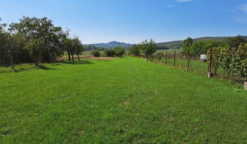 Prodej Pozemky - bydlení, Pozemky - bydlení, Doľany, Pezinok, Slovensk