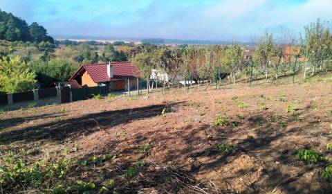 Prodej Zahrady, Zahrady, Nové Mesto nad Váhom, Slovensko