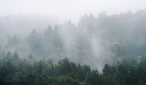 Prodej Zemědělské a lesní, Zemědělské a lesní, Púchov, Slovensko