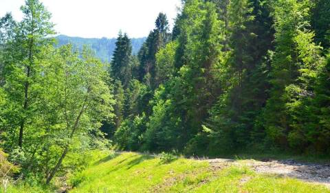 Prodej Zemědělské a lesní, Zemědělské a lesní, Gelnica, Slovensko