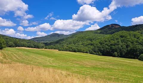 Prodej Zemědělské a lesní, Zemědělské a lesní, Bardejov, Slovensko