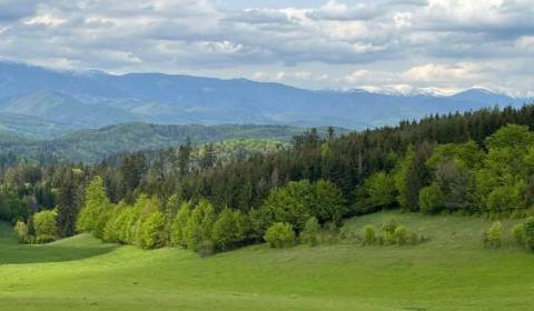 Prodej Zemědělské a lesní, Zemědělské a lesní, Banská Bystrica, Sloven