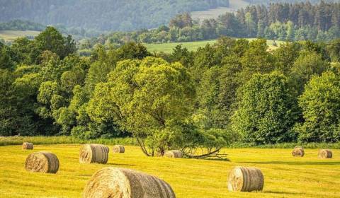 Prodej Zemědělské a lesní, Zemědělské a lesní, Revúca, Slovensko