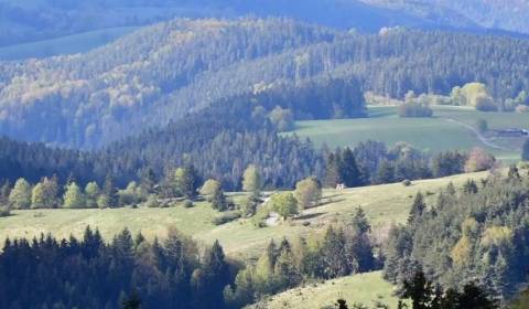 Prodej Zemědělské a lesní, Zemědělské a lesní, Senica, Slovensko