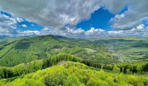 Prodej Zemědělské a lesní, Zemědělské a lesní, Púchov, Slovensko