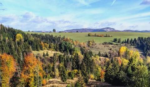 Prodej Zemědělské a lesní, Zemědělské a lesní, Žilina, Slovensko