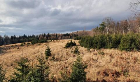 Prodej Zemědělské a lesní, Zemědělské a lesní, Prievidza, Slovensko