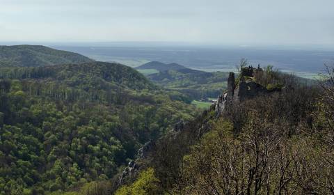 Prodej Zemědělské a lesní, Zemědělské a lesní, Ilava, Slovensko