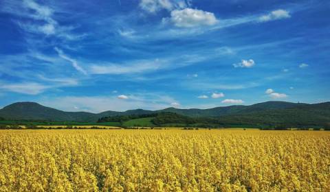 Prodej Zemědělské a lesní, Zemědělské a lesní, Nitra, Slovensko