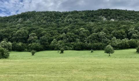 Prodej Zemědělské a lesní, Zemědělské a lesní, Rožňava, Slovensko