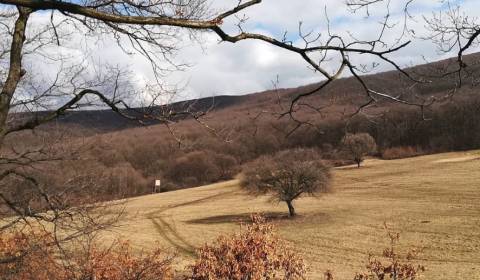 Prodej Zemědělské a lesní, Zemědělské a lesní, Svidník, Slovensko