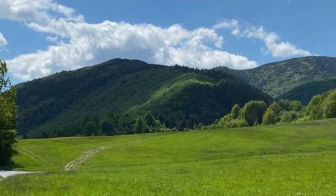 Prodej Zemědělské a lesní, Zemědělské a lesní, Stará Ľubovňa, Slovensk