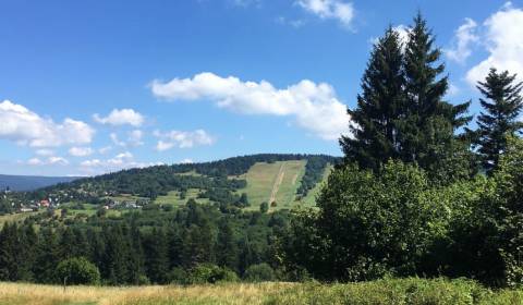 Prodej Zemědělské a lesní, Zemědělské a lesní, Svidník, Slovensko