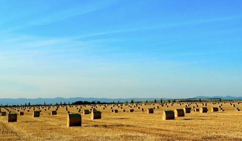 Prodej Zemědělské a lesní, Zemědělské a lesní, Levice, Slovensko