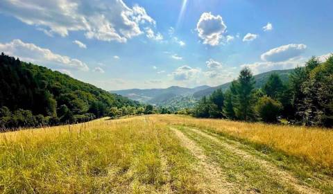 Prodej Zemědělské a lesní, Zemědělské a lesní, Považská Bystrica, Slov