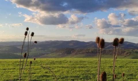 Prodej Zemědělské a lesní, Zemědělské a lesní, Snina, Slovensko