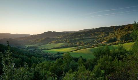 Prodej Zemědělské a lesní, Zemědělské a lesní, Snina, Slovensko