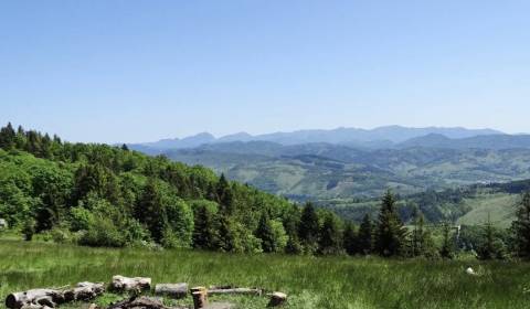 Prodej Zemědělské a lesní, Zemědělské a lesní, Čadca, Slovensko