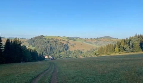 Prodej Zemědělské a lesní, Zemědělské a lesní, Detva, Slovensko