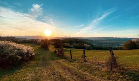 Prodej Zemědělské a lesní, Zemědělské a lesní, Trenčín, Slovensko