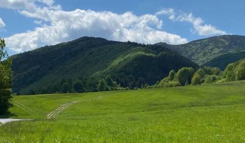 Prodej Zemědělské a lesní, Zemědělské a lesní, Brezno, Slovensko