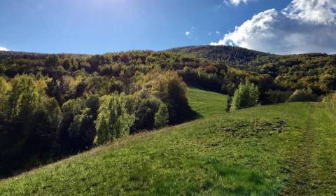 Prodej Zemědělské a lesní, Zemědělské a lesní, Revúca, Slovensko