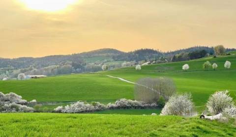 Prodej Zemědělské a lesní, Zemědělské a lesní, Banská Bystrica, Sloven