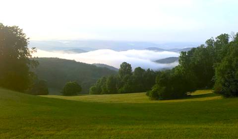 Prodej Zemědělské a lesní, Zemědělské a lesní, Trenčín, Slovensko