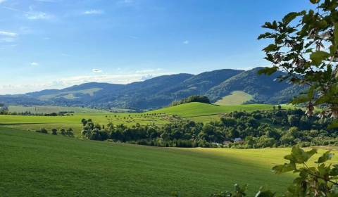 Prodej Zemědělské a lesní, Zemědělské a lesní, Púchov, Slovensko