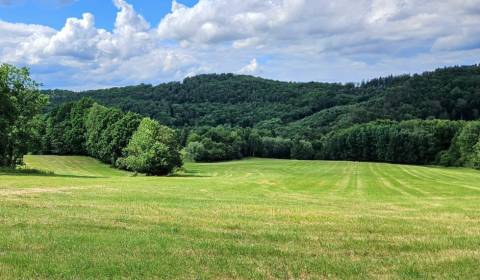 Prodej Zemědělské a lesní, Zemědělské a lesní, Krupina, Slovensko