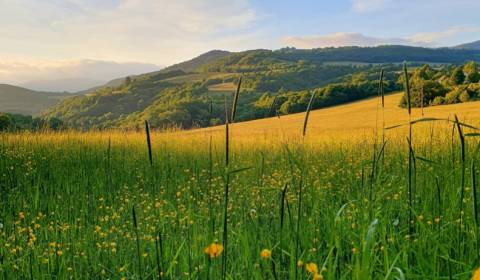 Prodej Zemědělské a lesní, Zemědělské a lesní, Žiar nad Hronom, Sloven