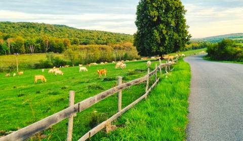 Prodej Zemědělské a lesní, Zemědělské a lesní, Lučenec, Slovensko