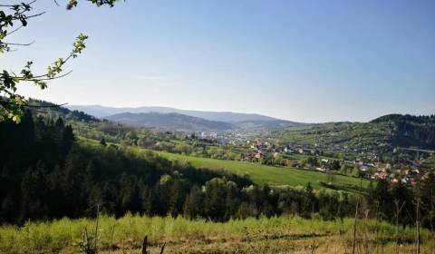 Prodej Zemědělské a lesní, Zemědělské a lesní, Čadca, Slovensko