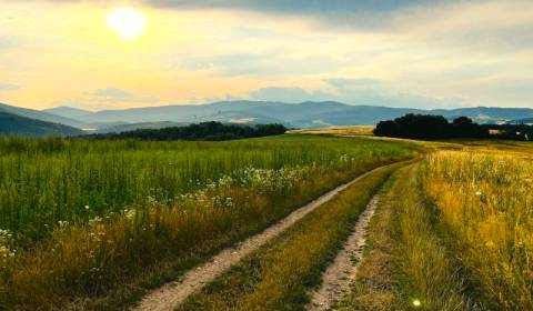 Prodej Zemědělské a lesní, Zemědělské a lesní, Spišská Nová Ves, Slove