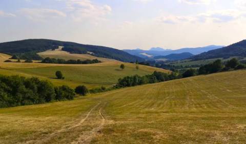 Prodej Zemědělské a lesní, Zemědělské a lesní, Púchov, Slovensko