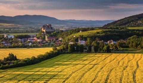 Prodej Zemědělské a lesní, Zemědělské a lesní, Nové Mesto nad Váhom, S