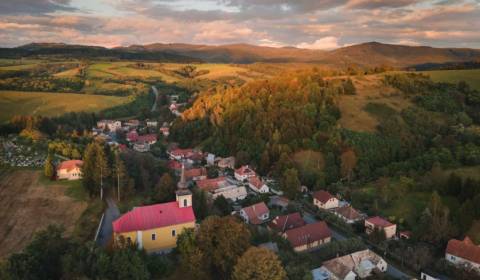 Prodej Zemědělské a lesní, Zemědělské a lesní, Detva, Slovensko